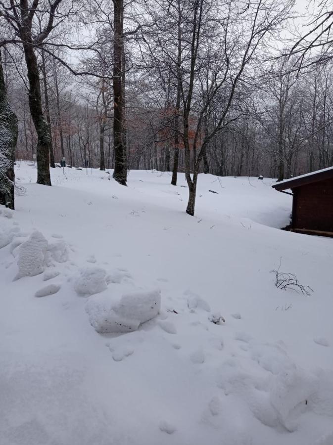 Villaggio Anemone - Chalet Anemone Capanne di Sillano Екстер'єр фото